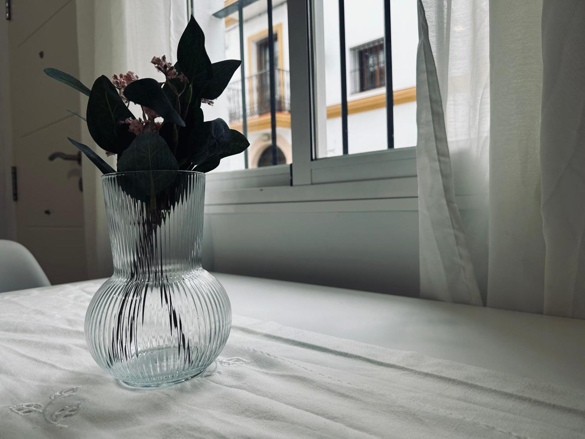 Apartamento Gades Conil A Коніль-де-ла-Фронтера Екстер'єр фото